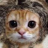 Игорь Левашов